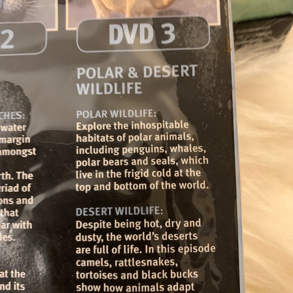 Wildlife videos 5 DVD set - Picture 8 of 8